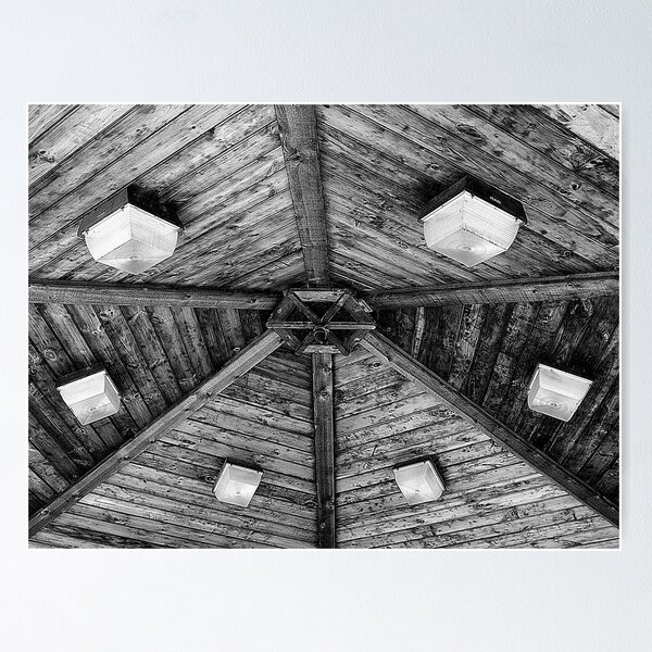 Ceiling Lights Poster