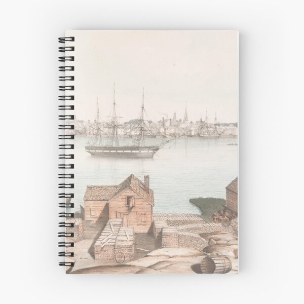 Item preview, Vintage Illustrative View of Newburyport MA (1846) designed and sold by BravuraMedia.