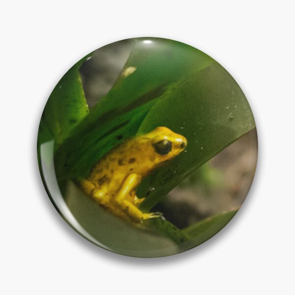 Item preview, Poison dart frog the Terrible designed and sold by Elsterart.