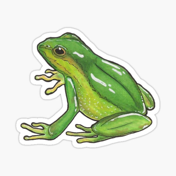 Item preview, Frog Adventure! designed and sold by Andrew Tripp.