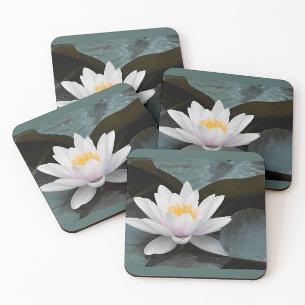 Item preview, Water Lily designed and sold by pacontrer.