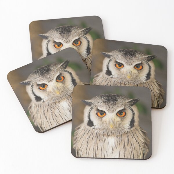 Item preview, Owl, South Africa  designed and sold by I Want The Window Seat.