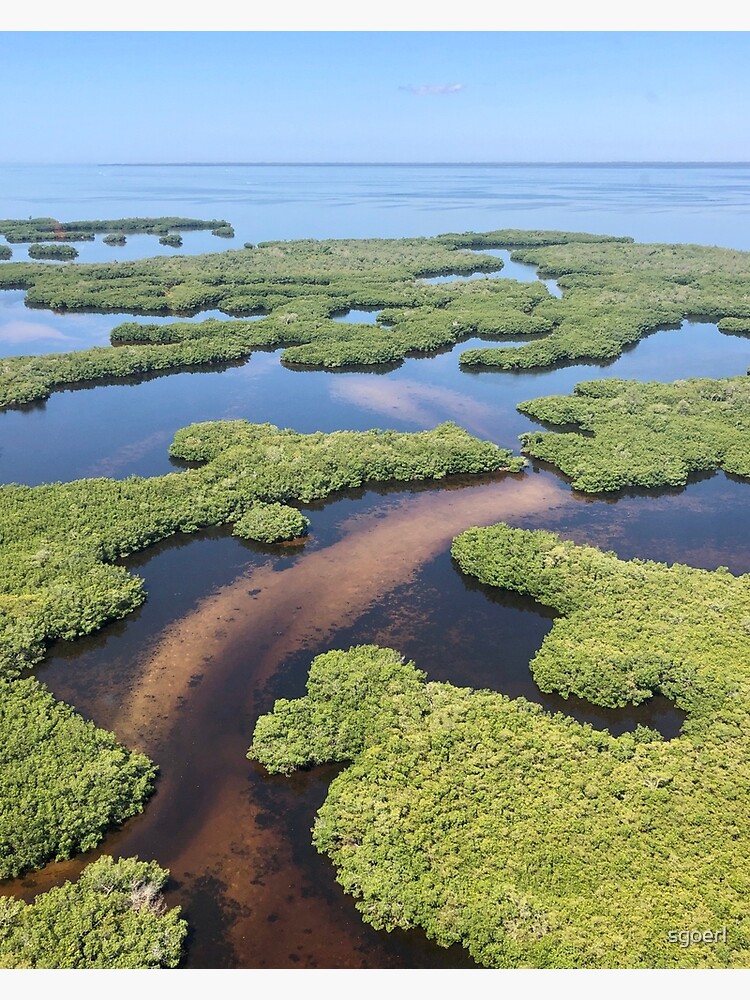"Alligator Creek, Punta Gorda Fl Aerial View" Poster for Sale by sgoerl