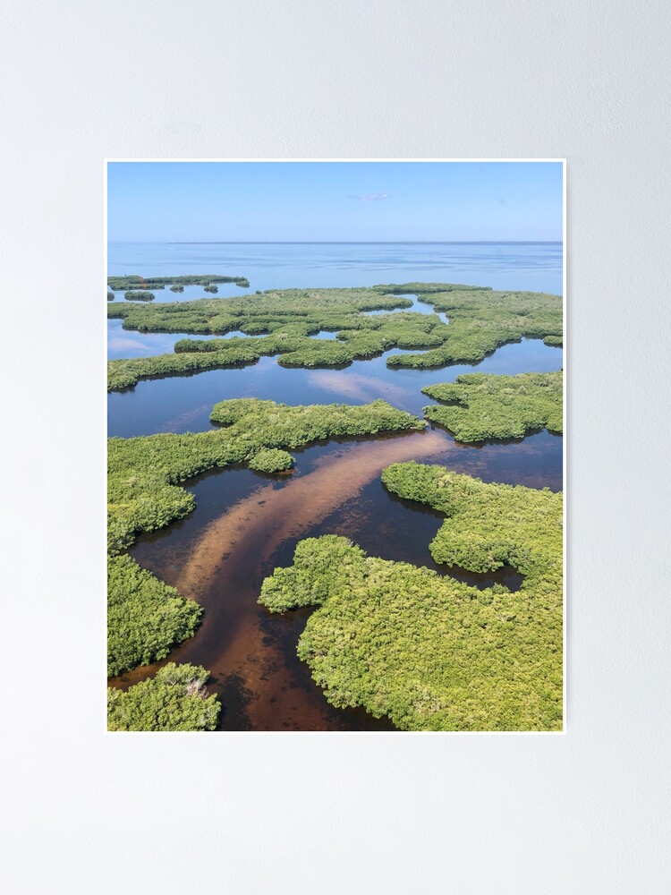 "Alligator Creek, Punta Gorda Fl Aerial View" Poster for Sale by sgoerl