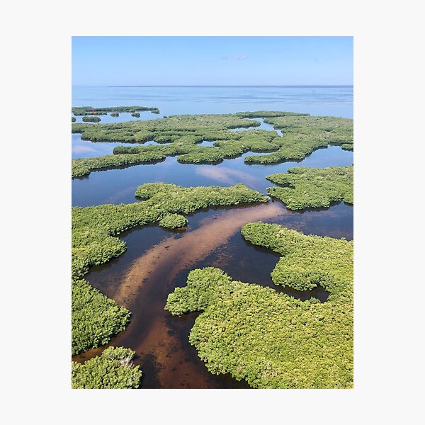 Item preview, Alligator Creek, Punta Gorda Fl Aerial View designed and sold by sgoerl.