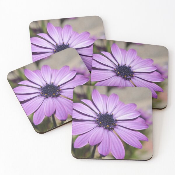 Item preview, Purple Daisy designed and sold by pacontrer.