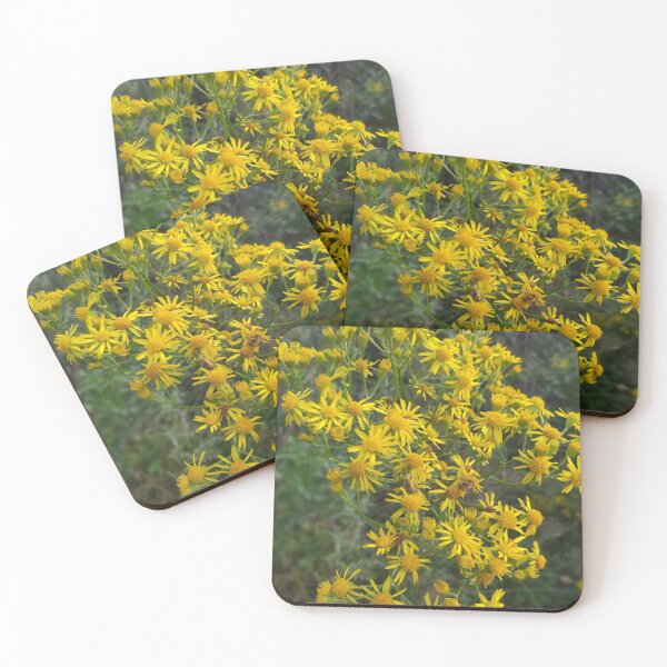Item preview, ragwort designed and sold by CreativeWorld96.