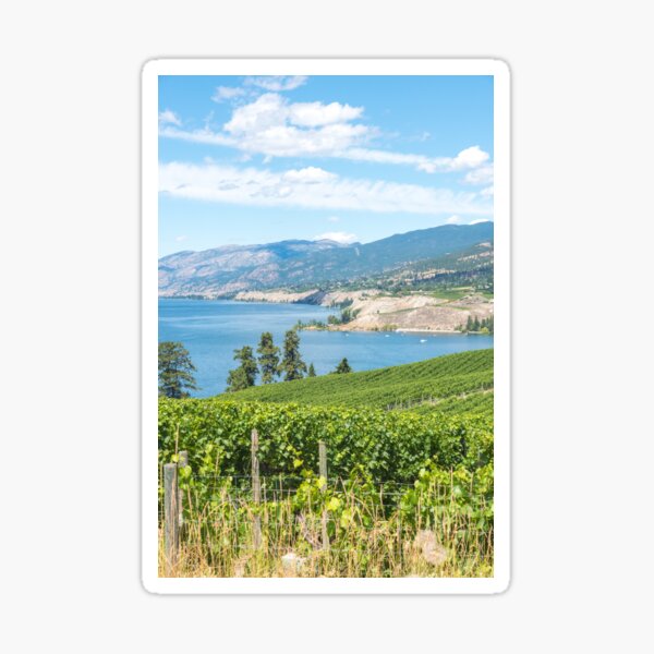 Item preview, Summer View of Vineyards and Okanagan Lake designed and sold by Amy Mitchell.