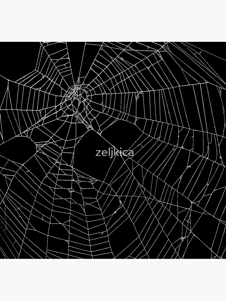 Spider Web Stock Illustrations – 68,046 Spider Web Stock
