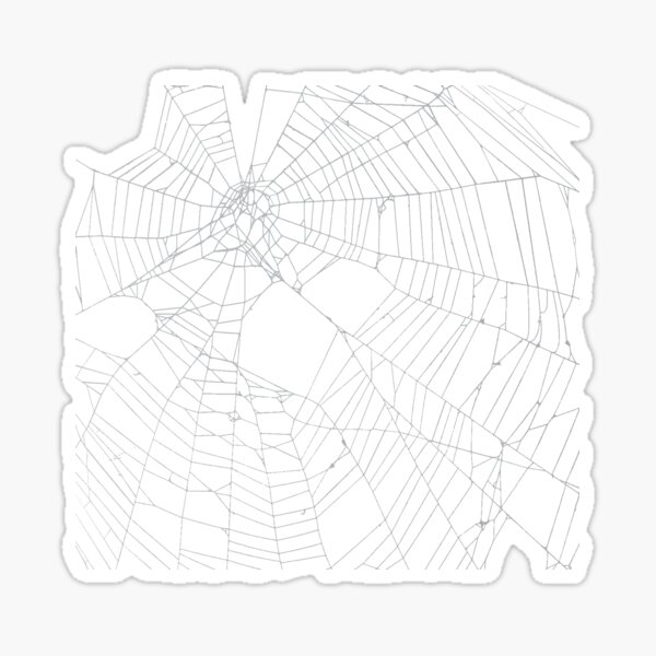 SpiderWeb Web Sticker