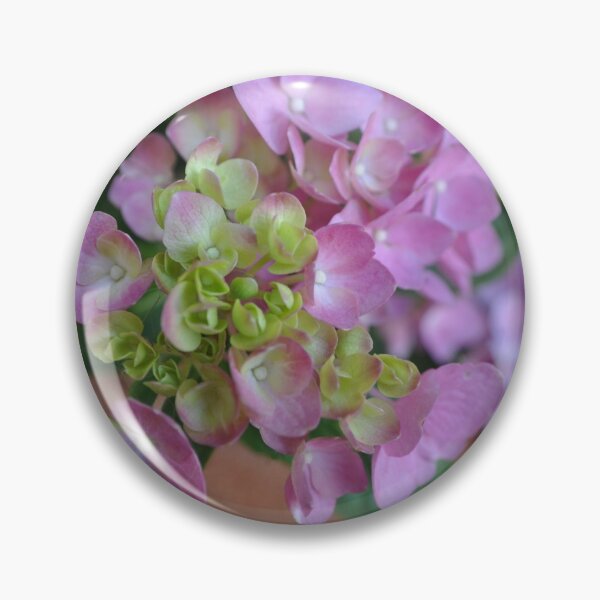 Item preview, Hydrangeas designed and sold by pacontrer.
