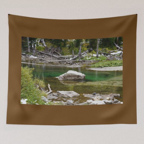 Item preview, An Emerald Pool in the Heart of the Forest designed and sold by MomentofPercep.