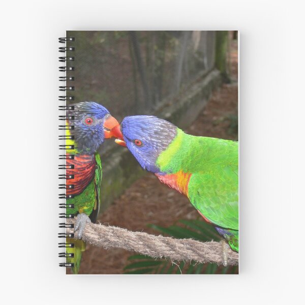 Item preview, Love Birds designed and sold by Monika's Shop.