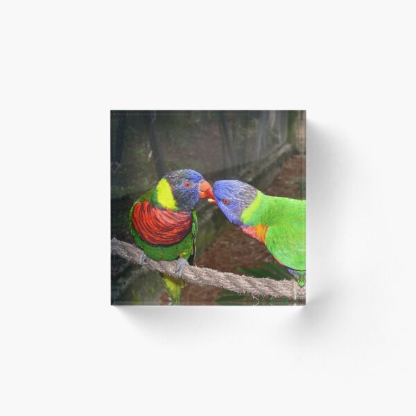 Love Birds Acrylic Block