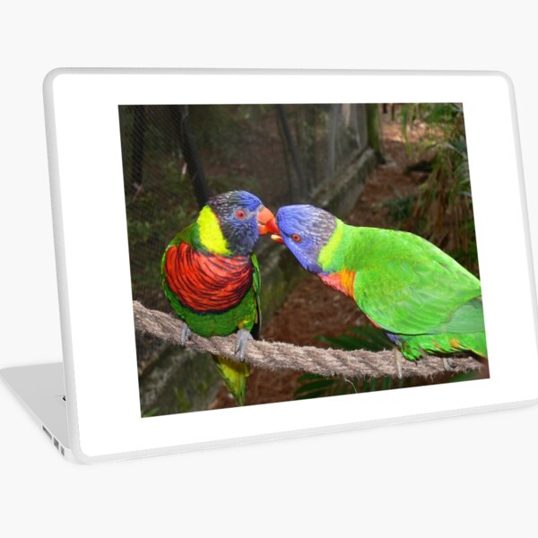 Love Birds Laptop Skin