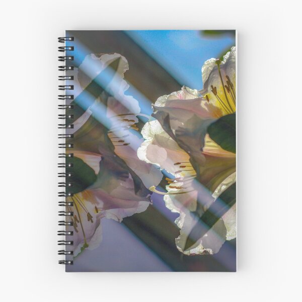 Item preview, Perfect Light  designed and sold by CAPress-Shop.