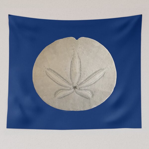 Item preview, White Sand Dollar designed and sold by KsbAesthetics.