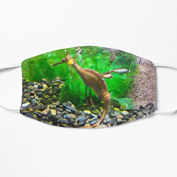 Leafy Sea Dragon Flat Mask