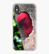 Parrot iPhone Case