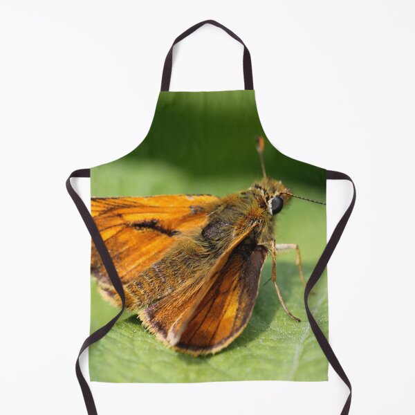 Item preview, Large Skipper designed and sold by cuprum.