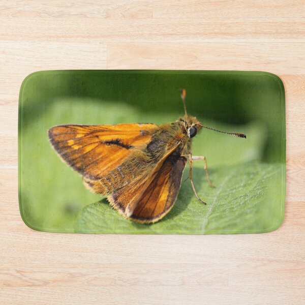 Item preview, Large Skipper designed and sold by cuprum.