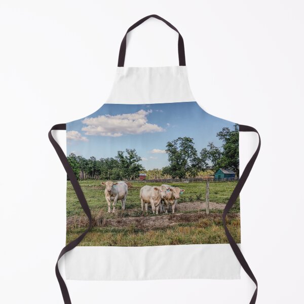 Item preview, Cows in Boston, South GA USA designed and sold by Crobin1961.