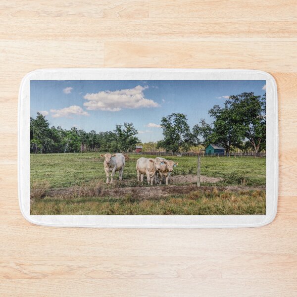 Item preview, Cows in Boston, South GA USA designed and sold by Crobin1961.