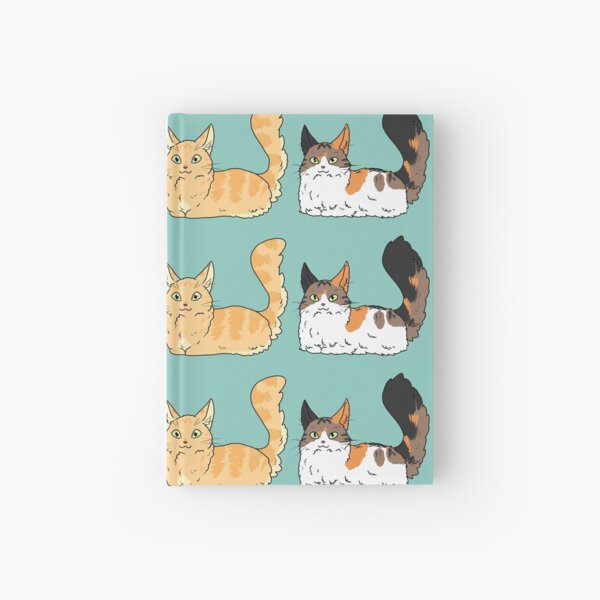 Petits chats Carnet cartonné