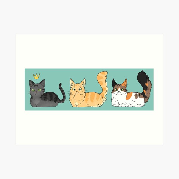 Petits chats Impression artistique