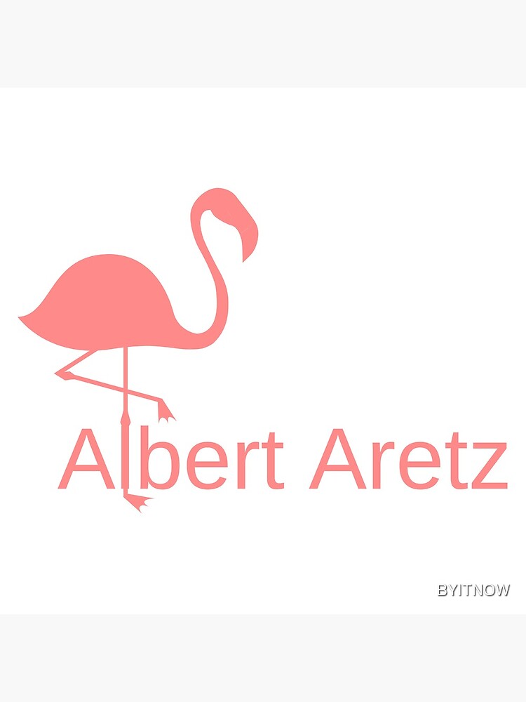 Albert Aretz Flamingo Youtube Poster By Byitnow Redbubble - flamingo yt roblox account name