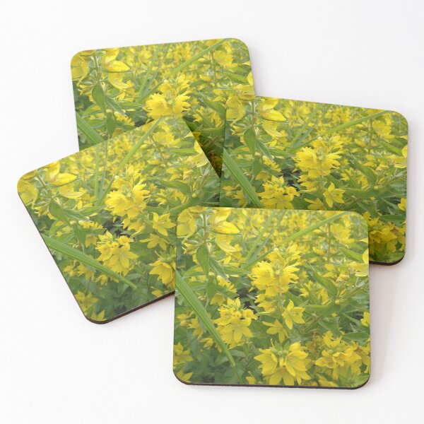 Item preview, Yellow wildflowers designed and sold by Ana Belaj.
