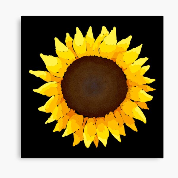 Sunflower - Black Canvas Print