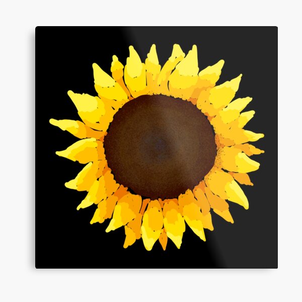 Sunflower - Black Metal Print