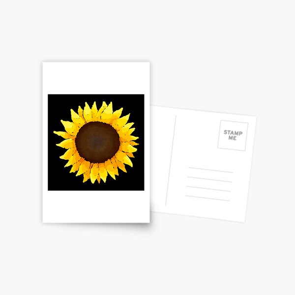 Sunflower - Black Postcard