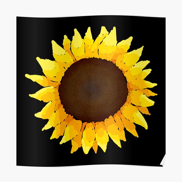 Sunflower - Black Poster
