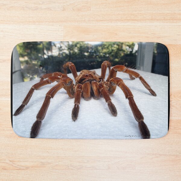 Item preview, Goliath Skin! designed and sold by mark-bugs-org.