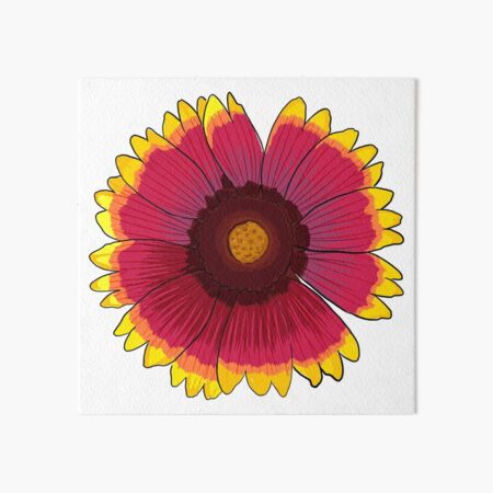 Arizona Sun Art Board Print