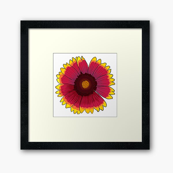 Arizona Sun Framed Art Print