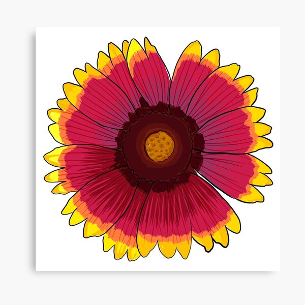 Arizona Sun Canvas Print