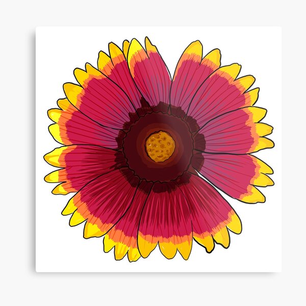 Arizona Sun Metal Print