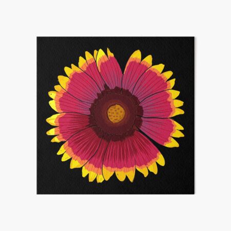 Arizona Sun - Black Art Board Print