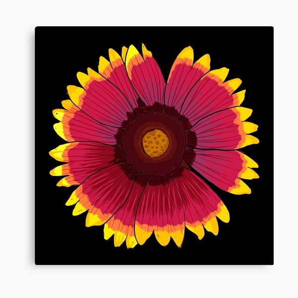 Arizona Sun - Black Canvas Print