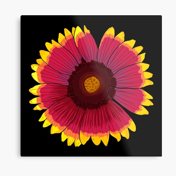 Arizona Sun - Black Metal Print
