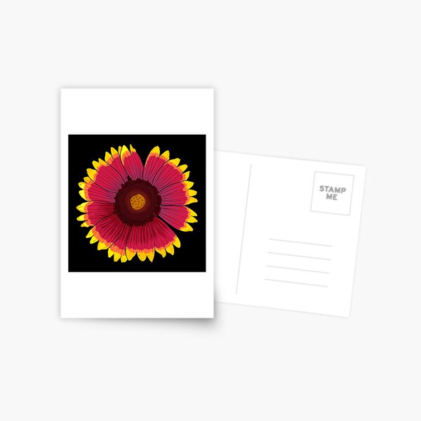 Arizona Sun - Black Postcard