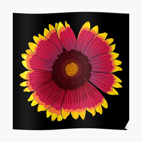 Arizona Sun - Black Poster