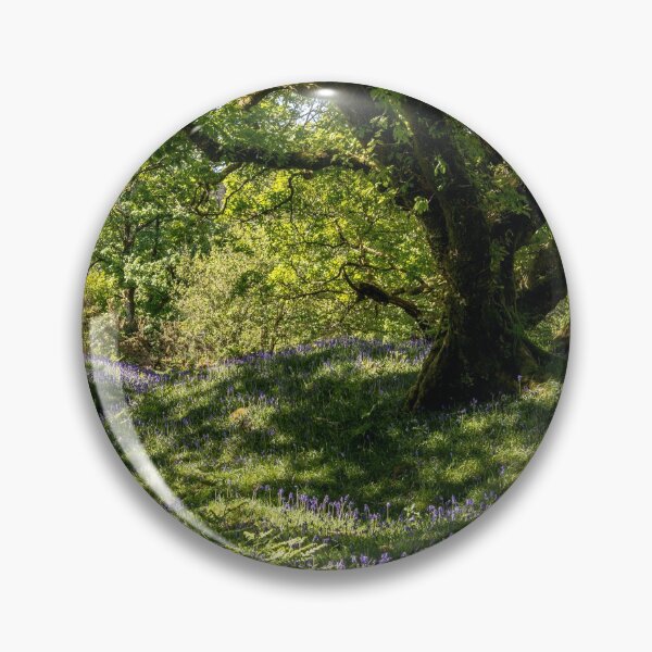 Aperçu de l'œuvre Jacinthes des bois de Dartmoor créée et vendue par Jean Fry.