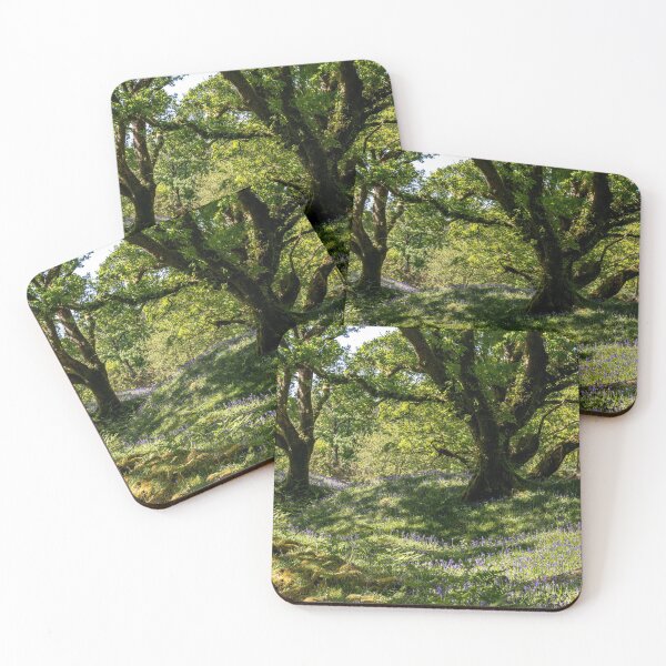 Item preview, Dartmoor woodland bluebells designed and sold by Jean Fry.