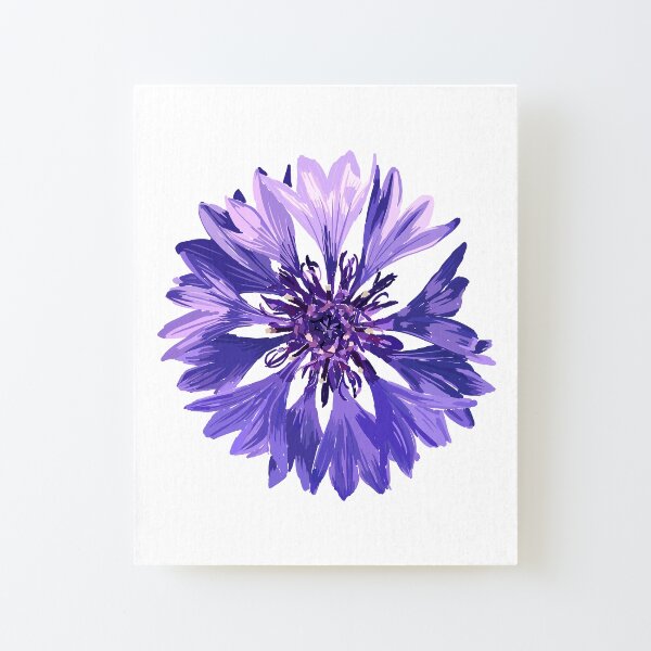 Mountain Cornflower Canvas Mounted Print