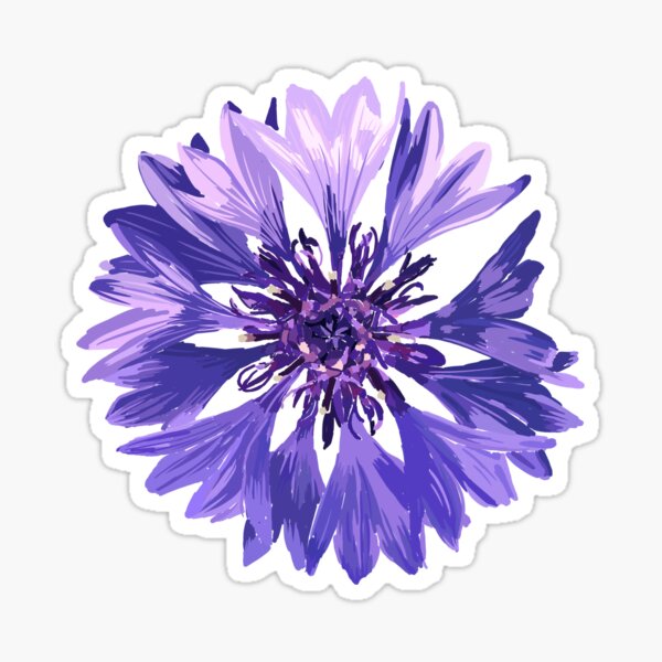Mountain Cornflower Sticker