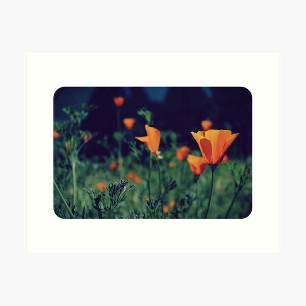 Item preview, California Poppies designed and sold by Jenn Ramirez.